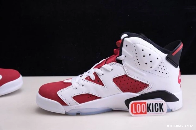 Rep RETRO CT8529-106 6 2021 AIR 'CARMINE' JORDAN 0713